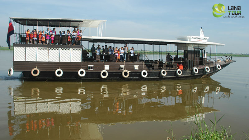 Cruises